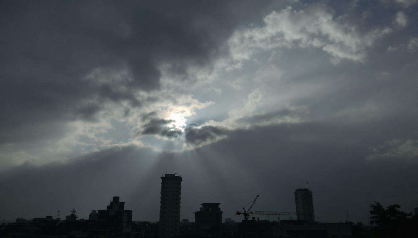 Journée Internationale de la Radiologie : importance et Impact